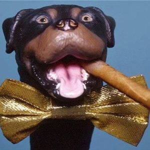 Meet your Posher, Mike